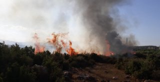 Antalyada Makilik Alanda Çıkan Yangın Korkuttu