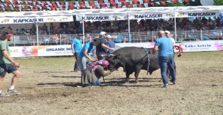 38. Kafkasör Kültür, Turizm Ve Sanat Festivali