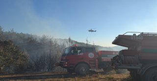 Adanada Yangında 2 Hektarlık Orman Zarar Gördü