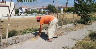 Çevre Dostu Vatandaş Kaldırımları Temizliyor