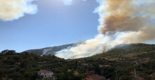 Anızdan Ormana Sıçrayan Yangın Rüzgarın Etkisiyle Büyüdü