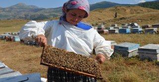 Arıcı Çift, Bal Üreterek Geçimlerini Sağlıyor