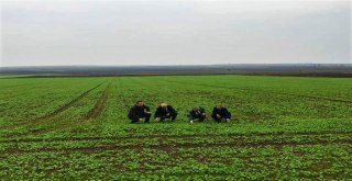 Tekirdağ Kanolada Ülke 1İncisi