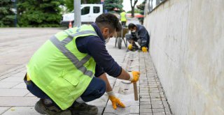 BÜYÜKŞEHİR'DEN KORE ŞEHİTLERİNE VEFA