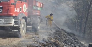 Amanoslardaki Orman Yangınını Soğutma Çalışması Sürüyor