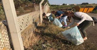 Ak Partili Kadınlardan Çöp Toplama Etkinliği