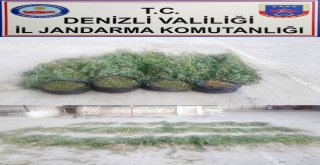 Denizlide Yaklaşık 6 Kilo Esrar Ele Geçirildi