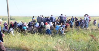 Minik Leylanın Ölü Bulunmasının Ardından Gözaltılar Başladı