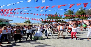 Çeşmenin Ünlü Sakız Koyunları Yarıştı