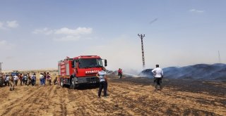 Adıyamanda 160 Ton Saman Yandı