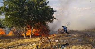 Bodrumda Çıkan Yangın Otele Sıçramadan Söndürüldü