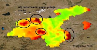 Van Gölünün Rengi Neden Değişiyor?