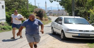 Tatil Cennetinde Korkutan Yangın