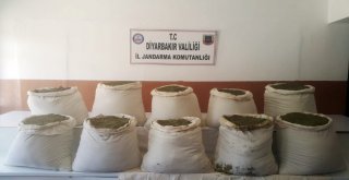 Diyarbakırda 284 Kilo Esrar Ve 2 Bin Kök Kenevir Ele Geçirildi