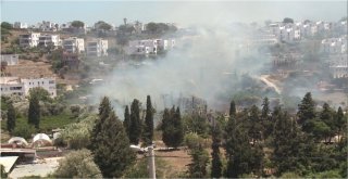 Tatil Cennetinde Korkutan Yangın