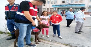 İstanbul Polisi İle İstanbul Jandarmasından Okul Önlerinde Ortak Uygulama