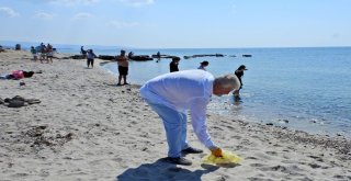 Dünya Temizlik Gününde Çeşme Plajları Temizlendi