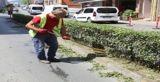 Park Ve Bahçelerin Bakımı Yapılıyor