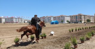 Atlı Okçular, Son Günde Kıyasıya Yarıştı