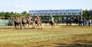 Taşköprüde Düzenlenen At Yarışları Nefesleri Kesti