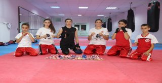 42 Madalyalı Kick Boks Kardeşliği