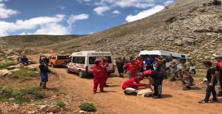 Kaybolan Müzisyeni Arama Çalışmaları Sonlandırıldı