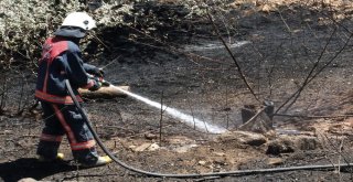 Kaza Yapan Otomobil Kül Oldu: 1 Yaralı