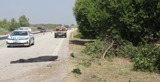 Adanada Trafik Kazası 1İ Bebek: 2 Ölü