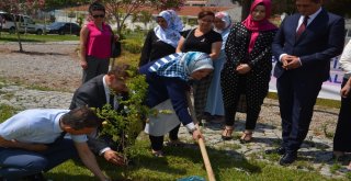 Mobil Ketem Projesi Aliağada Tanıtıldı