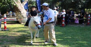 Atatürk Parkında Pony Şöleni