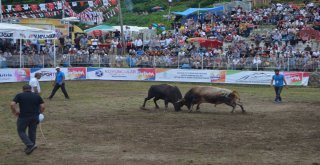 Artvin 38. Kafkasör Kültür, Turizm Ve Sanat Festivali Sona Erdi