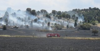 Konyada Ormanlık Alana Sıçrayan Yangın