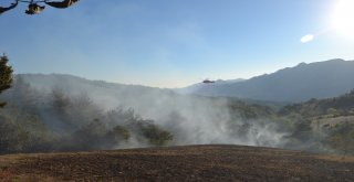 Adanada Yangında 2 Hektarlık Orman Zarar Gördü