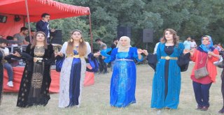 Hakkaride İki Gün İki Gece Süren Festival Gibi Düğün