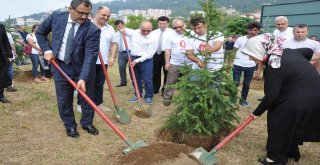 251 Şehit İçin 251 Fidan Diktiler