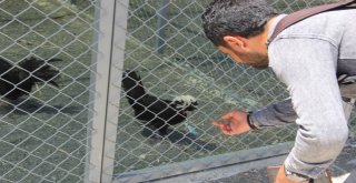 Kanatlı Hayvan Barınağı Yoğun İlgi Görüyor