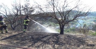 Defnede Arazi Yangını