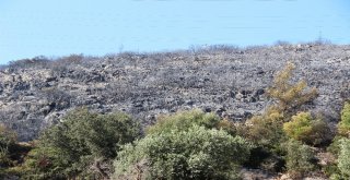 Bodrumda Yangın Sonrası Korkunç Manzara