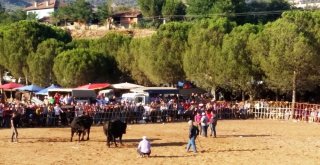 Dostluk Karşılaşması Meydan Savaşına Dönüştü