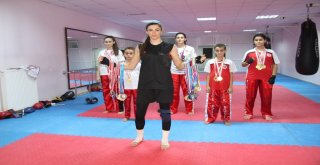 42 Madalyalı Kick Boks Kardeşliği