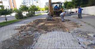 ASAT'TAN ALANYA'DA PARKE BAKIM VE ONARIMI