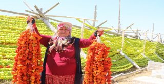 Biber Üreticilerinin Yüzü Sıcak İle Güldü