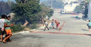 Bodrumda Çıkan Yangın Tatil Sitelerine Sıçradı