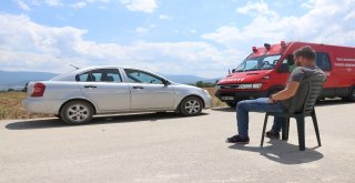 Otomobilin Altına Giren Yılan İçin Seferberlik