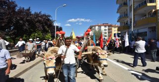 Taşköprüde Dünyaca Ünlü Sarımsağın Festivali Başladı