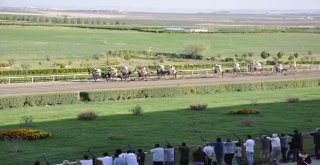 Diyarbakırda ‘Karpuz Kupası Koşusu Yapıldı