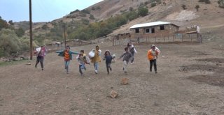 Çocuklar Dağ Bayır Gezerek Alıç Topladı