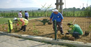 Kartepe Belediyesi Aralıksız Çalışıyor