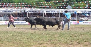 38. Kafkasör Kültür, Turizm Ve Sanat Festivali