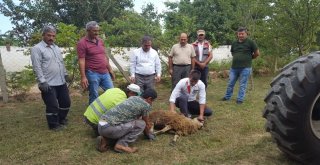 Orman İşletmesi Makine Parkuru Genişliyor